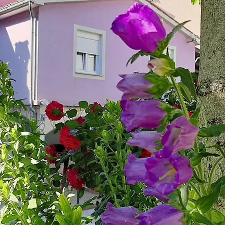 Ema & Sea Apartment's With Free Private Parking Pula