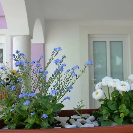 Apartment Ema & Sea Apartment's With Free Private Parking Pula