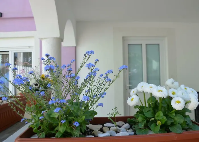 Διαμέρισμα Ema & Sea Apartment's Πούλα