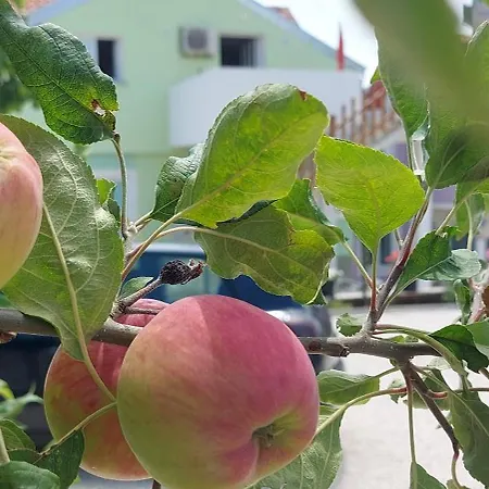 Ema & Sea Apartment's * Pola